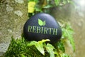Rebirth Royalty Free Stock Photo